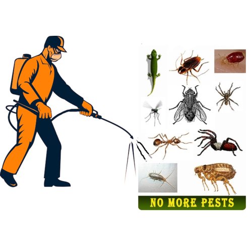 Safe Pest Control: Minimizing Harm to Wildlife
